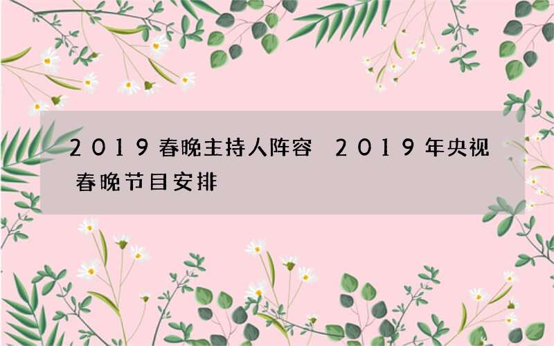 2019春晚主持人阵容 2019年央视春晚节目安排